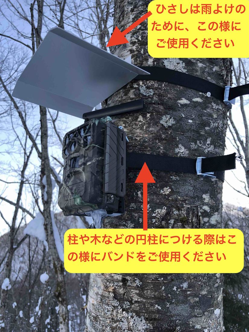 木にバンドで固定した設置例